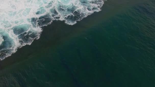 Große Welle Bricht Über Tropisches Riff — Stockvideo