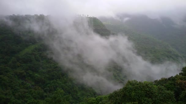 Nubes Bajas Sobre Valle Montaña — Vídeo de stock