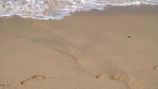 Olas Del Océano Estrellándose Una Playa — Vídeo de stock