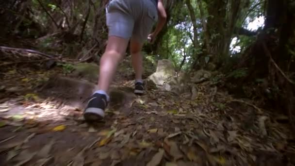 Persoon Wandelen Langs Een Wandelpad — Stockvideo