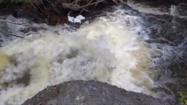 Kraftfull Forsande Vatten Liten Flod Bland Natur — Stockvideo