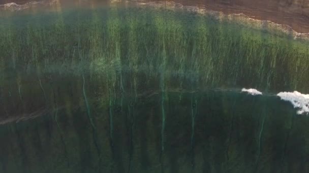 Scogliera Mentre Onde Infrangono Sulla Riva Una Spiaggia Tropicale — Video Stock