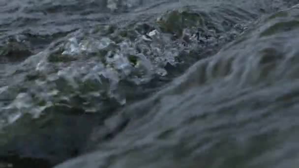 Flusswasser Fließt Über Einen Felsen — Stockvideo