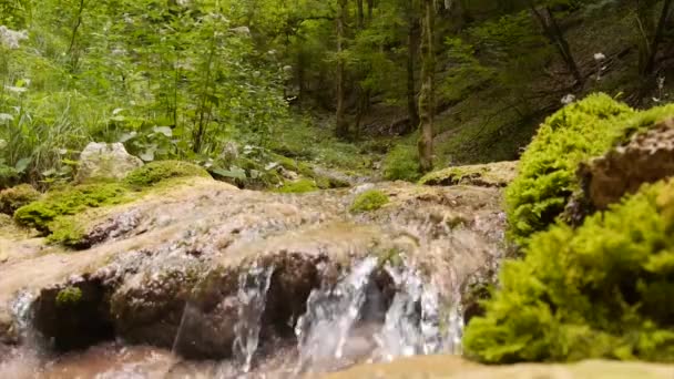 Pequeño Río Cayendo Rocas — Vídeo de stock