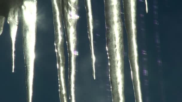 Sonne Hinter Einigen Eiszapfen Einem Sonnigen Wintertag — Stockvideo