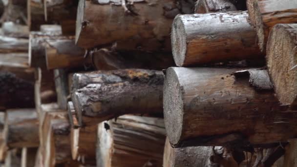 Die Enden Der Stämme Die Einen Holzstapel Bilden — Stockvideo