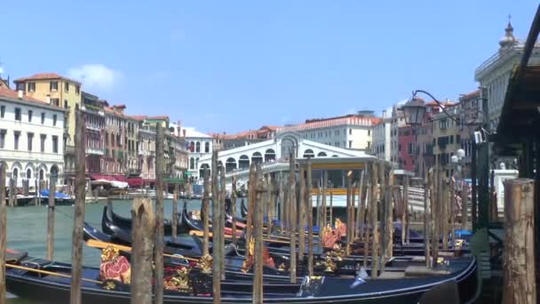 Video Van Venetië Rialtobrug — Stockvideo