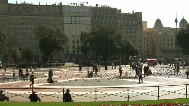 Lapso Tempo Pessoas Andando Uma Grande Praça Dia Ensolarado — Vídeo de Stock