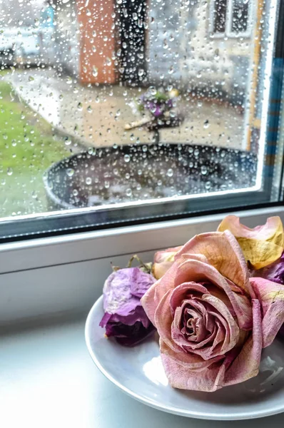 bir uçan daire üzerinde kuru güller