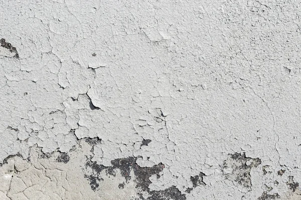 soluk gri doku eski püskü boya ile kaba bir duvar boyalı