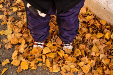 küçük bebek spor ayakkabı sarı kuru bir yığın içinde ayakta bırakır