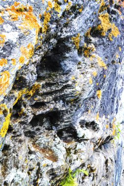 doku, taş yüzey ormanda güneş ışınlarının gelen soluk moss ile filiz taş duvar