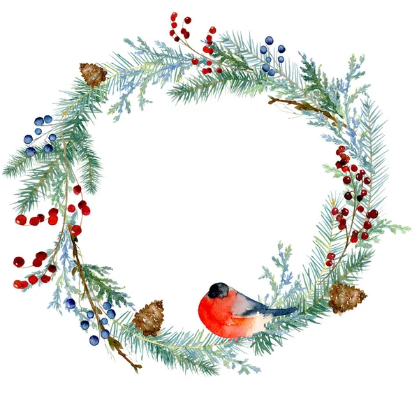 水彩冬絵ヴィンテージ ラウンド ジュニパー クリスマスの木 マツ円錐形 果実の枝を持つフレームです 伝統的なクリスマスの装飾 — ストック写真