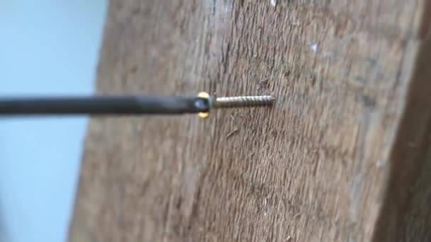 螺丝刀纺钉到木制办公桌 建设者维修工程 — 图库视频影像
