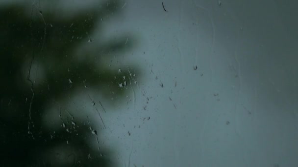 폭풍이 몰아칠 창문에 내린다 뒤에서 흔들려 미끄럼틀 — 비디오