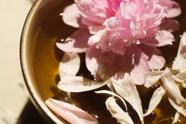 Şakayık suda yatıyordu. Üst Manzara. Spa günü. Doğal parfüm ve kozmetik kavramı.