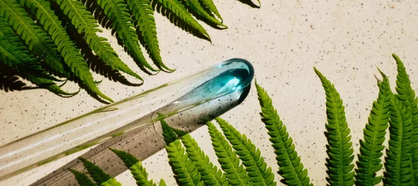 Beton Zemin Üzerinde Mavi Sıvı Bulunan Test Tüpü Eğrelti Otu — Stok fotoğraf