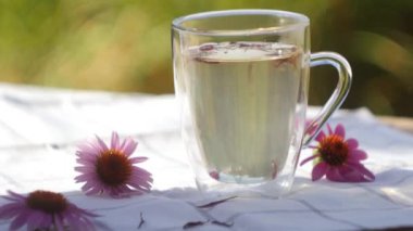 Ekinezya çayı al. Bağışıklık desteği. Bitkisel içecek. Homeopati ilacı. 