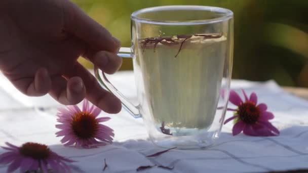 Ramasse Thé Échinacée Soutien Immunitaire Boisson Base Plantes Médecine Homéopathique — Video