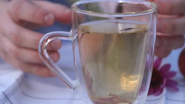 Pegue Chá Equinácea Apoio Imunitário Bebida Base Plantas Homeopatia Medicina — Vídeo de Stock