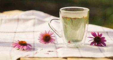 Echinacea yapraklı bir fincan çay. Bitkisel ilaçlar. Doğal malzemeler. Rahatlama terapisi 