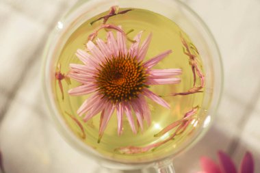 Üst Manzara. Ekinezya çiçeği suda yüzer. Bitki çayı. Samimi fotoğrafçılık. 