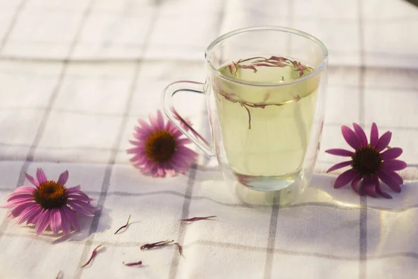 Egy Csésze Tea Echinacea Szirmokkal Gyógynövény Természetes Összetevők Relaxációs Terápia — Stock Fotó