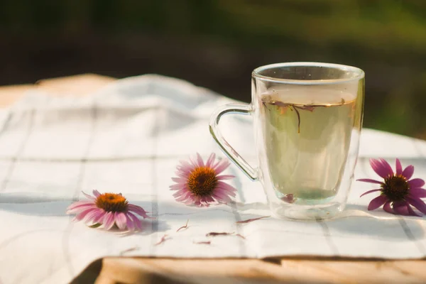 Echinacea yapraklı bir fincan çay. Bitkisel ilaçlar. Doğal malzemeler. Rahatlama terapisi 