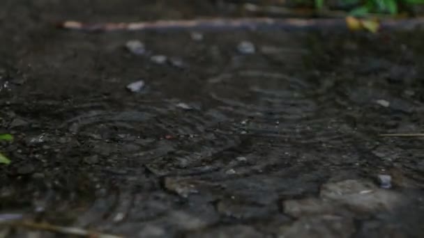 Krople Deszczu Wpadają Wiosła Rozpryskuję Wodę Burzliwa Pogoda — Wideo stockowe