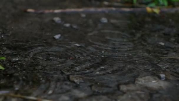 Des Gouttes Pluie Tombent Pagaie Des Éclaboussures Eau Météo Orageuse — Video