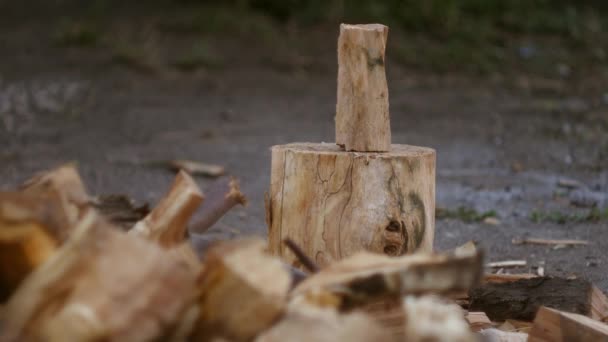 Chops Logs Axe Close Making Firewood — Stock Video