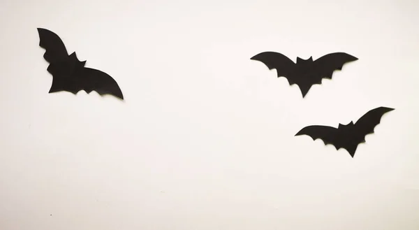 Paper bats on white background. Halloween banner. Copy space