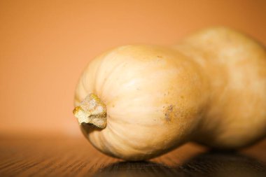 Turuncu arka planda balkabağı. Sonbahar sebzesi. Şükran Günü duvar kağıdı