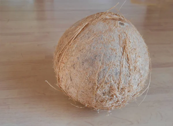一个大的 干燥的 淡褐色椰子 其壳上有少量的纤维 坐在桌子顶部与线模式 — 图库照片