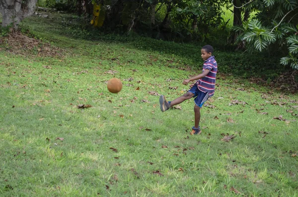 On a sunny afternoon, Boy in striped shirt, and blue short pants with stripes at the side on green grassland with scattered brown dry leaves, with right foot kicks a large ball. Behind the boy is a small breadfruit tree branch having four leaves.