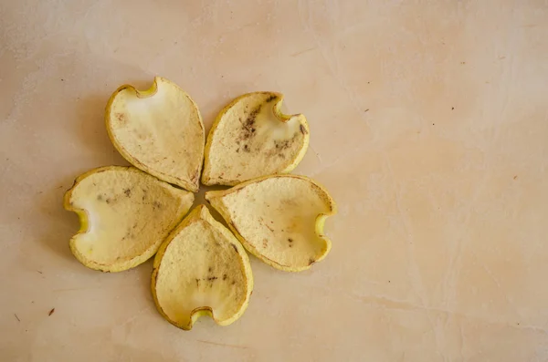 Ordna Cirkel Möts Yttre Kursen Hjärtformade Gula Kronblad Den Taggannona — Stockfoto