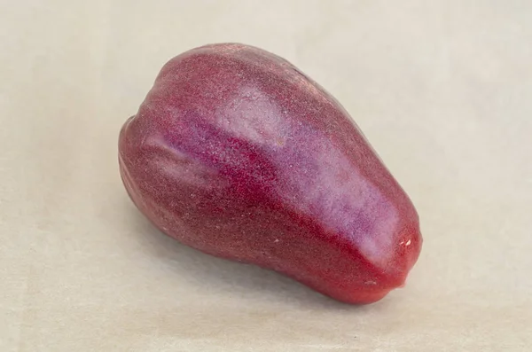 A single isolated red ripe otaheite apple on a white surface. The glossy apple is long with a pear shape.