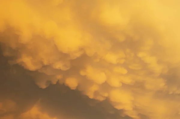 Orange Rays Evening Sunlight Thick Cumulus Clouds Sky Making Them — Stock Photo, Image