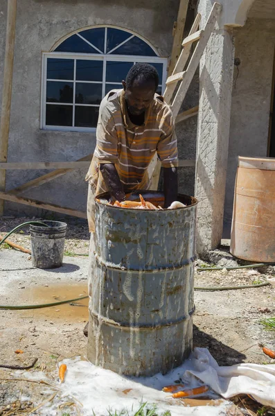 Bitmemiş Bir Evin Dışında Elleri Sabun Suyuna Batırılmış Havuçlarla Dolu — Stok fotoğraf