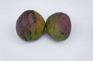On a white background are two whole ripe Julie mangoes.