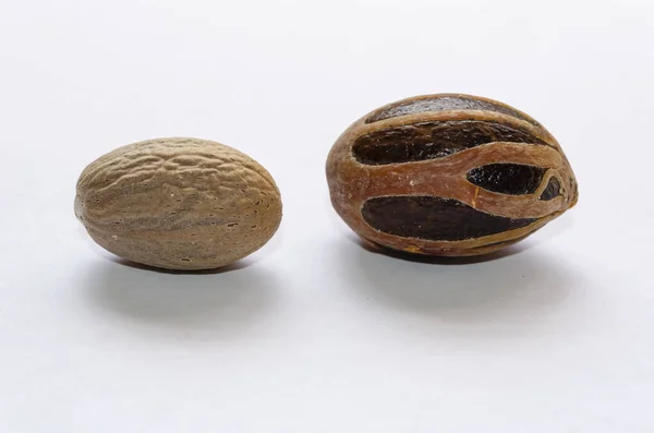 White Surface Pale Brown Kernel Nutmeg Normally Ground Grated Used — Stock Photo, Image