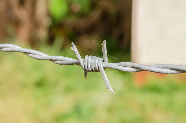 Sur Tronçon Clôture Fil Torsadé Est Une Barbe Tranchante Isolée — Photo