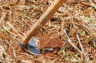 Bitki yetiştirmeye hazırlanırken, ahşap bir sopa üzerindeki çapa bir bahçede yere batar.