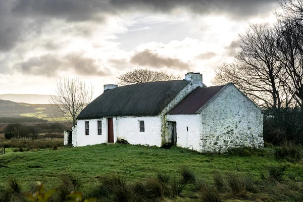 Rurale Vecchio Tetto Paglia Cottage Irlandese — Foto Stock