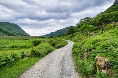 Yemyeşil bir yeşil vadi boyunca kıvrımlı bir toprak yol bu. Fotoğraf Glenveagh Milli Parkı Donegal İrlanda almak oldu