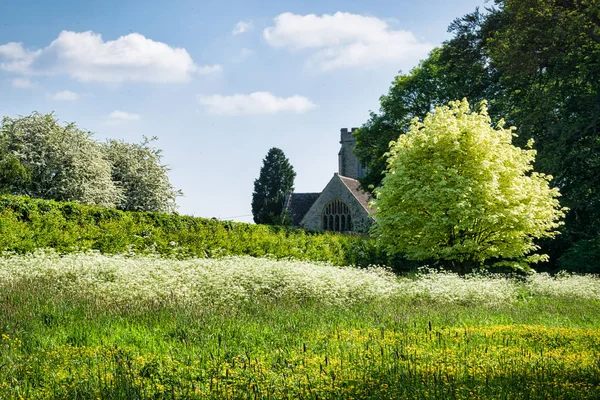 Eine Typisch Englische Wiese Und Mit Einer Landkirche Hintergrund — Stockfoto