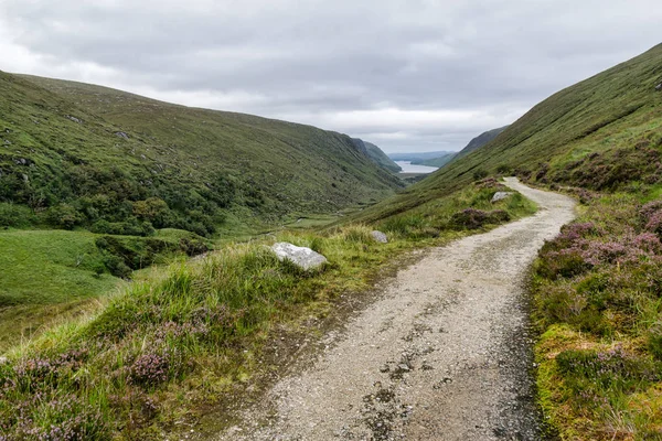 Est Sentier Montagne Qui Éloigne Parc National Glenveagh — Photo