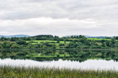 Bu hala bir göl Irelands kırsalında bir resmi vardır. Öyle bir ayna gibi kadar midye sudur. Suda kuğu cliding tarafından vardır.