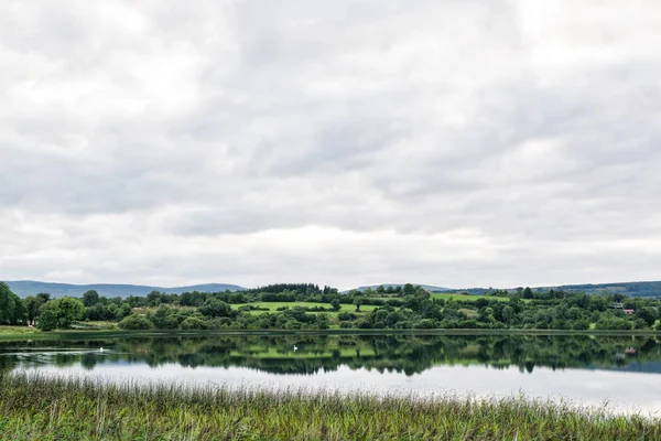 This is a picture of a still lake in Irelands countryside.  The water is so clam the it is like a mirror.  There are swans cliding by in the water.