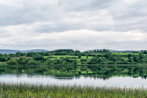 This is a picture of a still lake in Irelands countryside.  The water is so clam the it is like a mirror.  There are swans cliding by in the water.